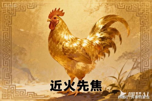 火年对应的生肖是什么？火打一生肖的含义是什么？