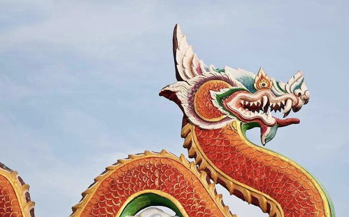 属龙人的情感世界：丰富有更多彩