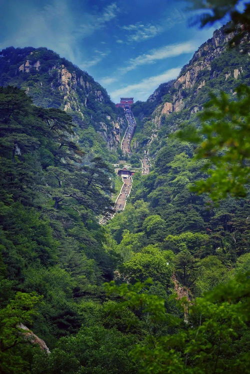 泰山旅游的十大谎言