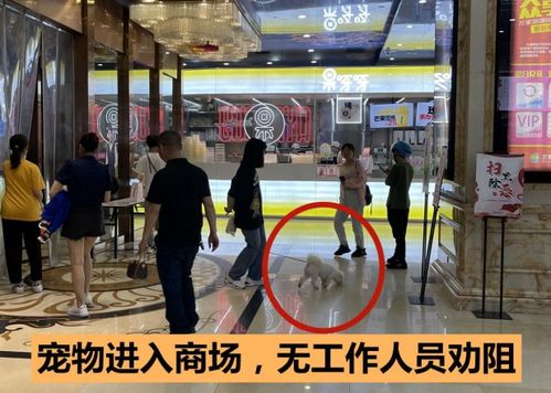 万家丽mall：穷人的奢侈品天堂