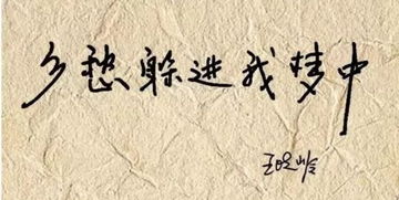 梦中的乡愁，你是否能理解这份深沉的思念？