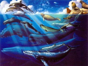 海豚代表哪个生肖？海豚挂件的寓意是什么意思？
