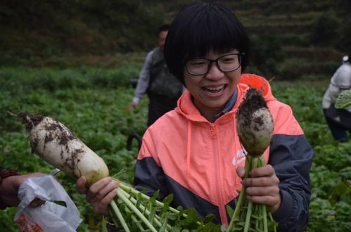 八、 血肉与骨骼之间