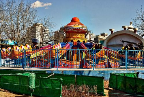 幸存者偏差的狂欢