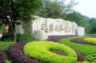 怎样到达依安植物园
