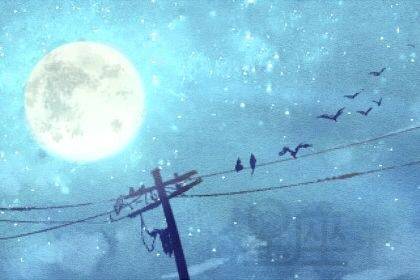2月星空狂欢节