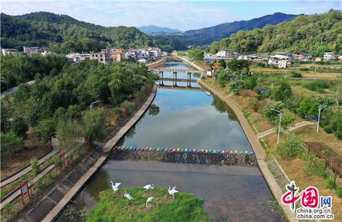 逃离城市？别傻了！宜宾到米易自驾游就是个坑，但坑得让人上瘾