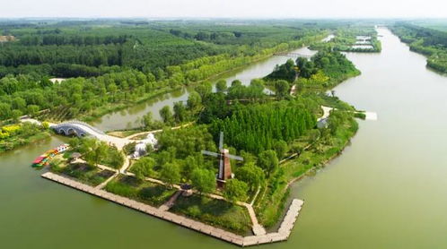 龙居黄河森林旅游区 – 树木茂盛到发指