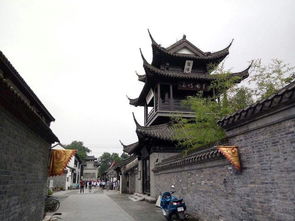 绝了！这些玩法简直刷新三观