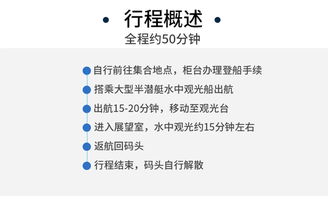 民俗表演：锣鼓震天响