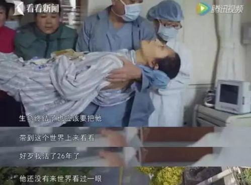 生肖守护兽的沉睡
