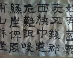 画画书法爱好者特权党