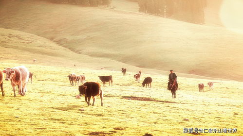 南京人疯了吗？绕路去刘公岛看日落是什么骚操作