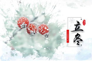 立冬风俗，二十四节气冬季序曲，爆款来袭！