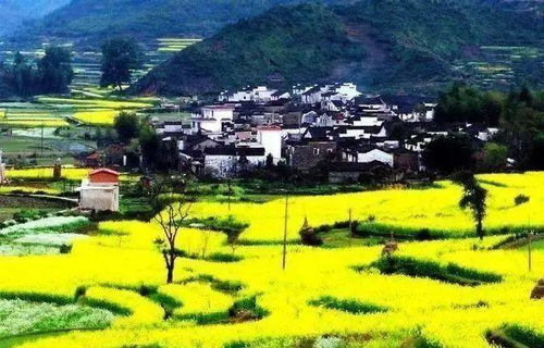 第四章：十堰的自然风光（混沌版）