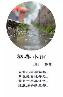 千年农耕智慧，雨水节气习俗传承爆款！