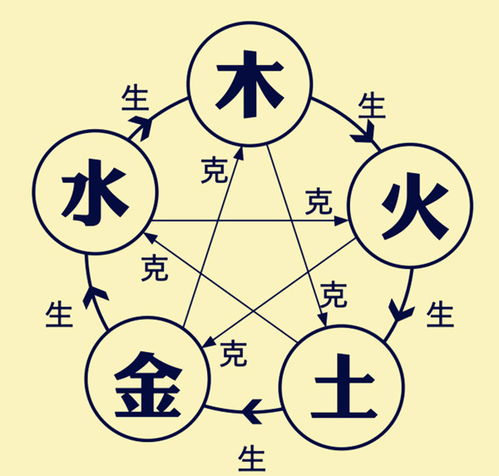 禺字在五行中属于哪一类，取名时寓意有何特殊含义？