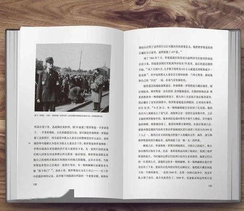 案例解析