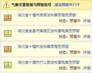 2. 换鞋区的奇妙遭遇