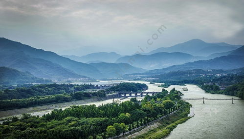 1.2 半票政策：
