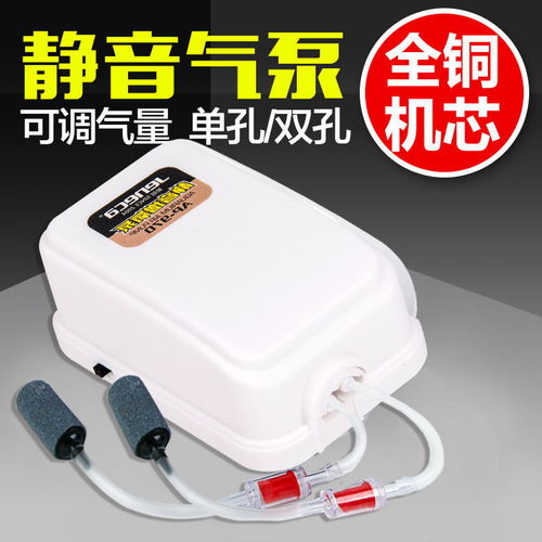 养风水鱼时是否必须使用气泵来维持水质循环呢？