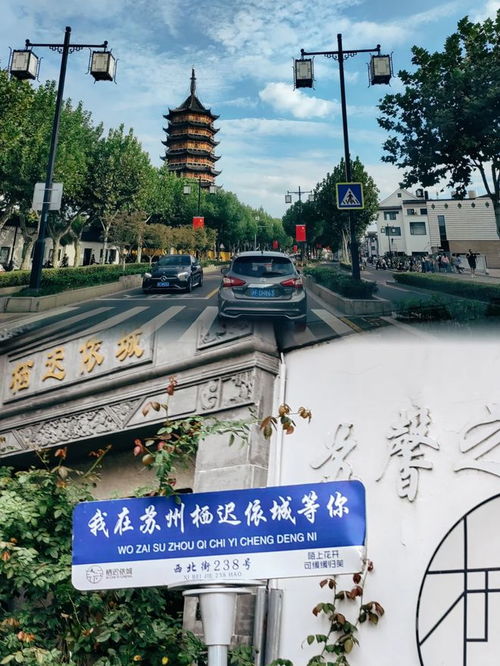 第四天：回到临沂——深度本地探险 & 家庭大团圆宴