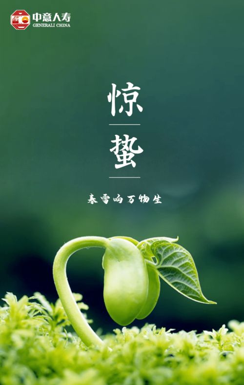 四、 风水小技巧：利用惊笋之气布置家居