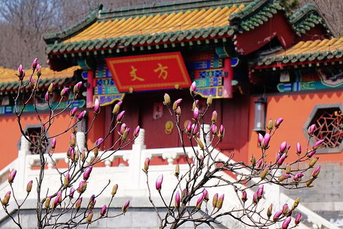 颜色心理状态学：为何都是红墙黄瓦？