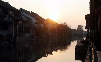 中年少女的心声与生活感悟