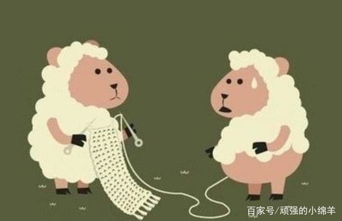 羊羊暴走预警