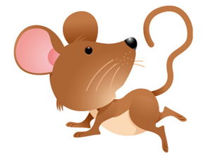 鼠年出生的人如何调整策略在牛年提升财运？