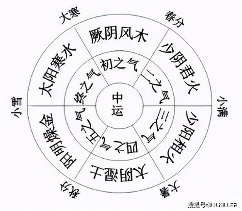 木月的 特点 与 生较长