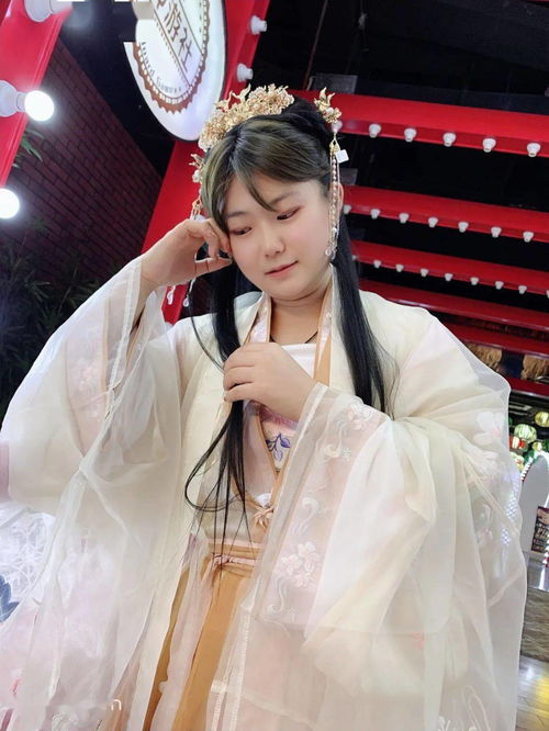 **前言：穿越千年， 寻觅夏姓男子的璀璨**