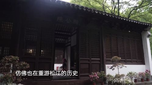 背后的传奇故事：炎热爱反感纠葛与文学探索