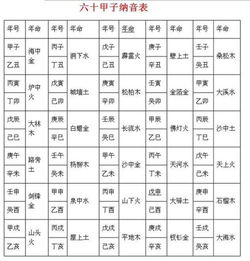 甲子年出生的人五行属什么？12生肖各对应什么命？