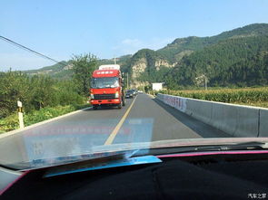 路上的奇葩遭遇