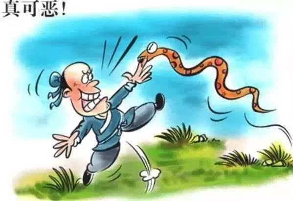 ：农夫喂蛇，蛇咬农夫，农夫变蛇，咬死农夫，这是何等循环悲剧？