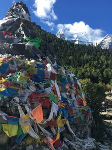 探索天然之韵：环山径行之旅