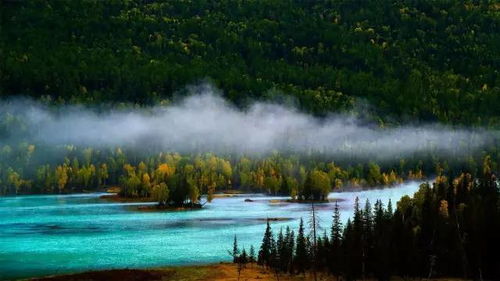 救命！交通攻略来啦