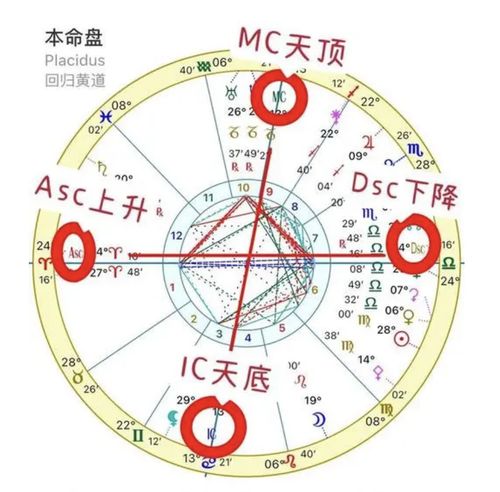 如何同过查询确定自己的金星星座宫位图片准确性？