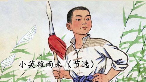 药补方案