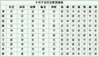 甲子鼠年生的命运究竟如何，有哪些特点和影响？