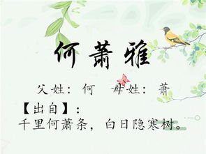 二、 冷门独特名字速递（带感情）