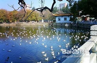翠湖公园商圈：学术氛围浓厚