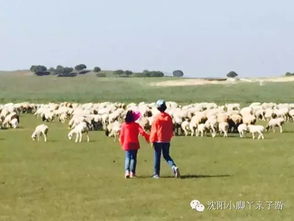 二、亲子游，让孩子在自然中成长！