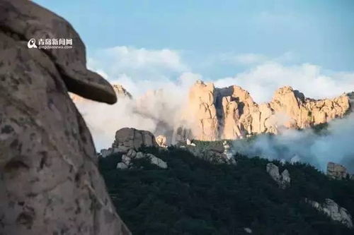 不容简单忘的经历