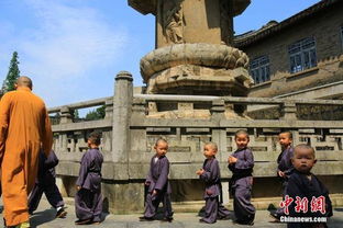 广州著名禅修寺院较大盘点