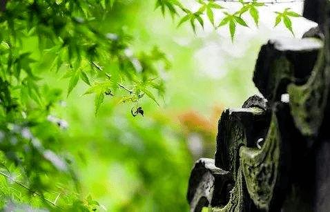 哪些星座容易跟风，缺乏个人见解呢？