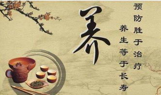 A版：省钱路线（背包客版）