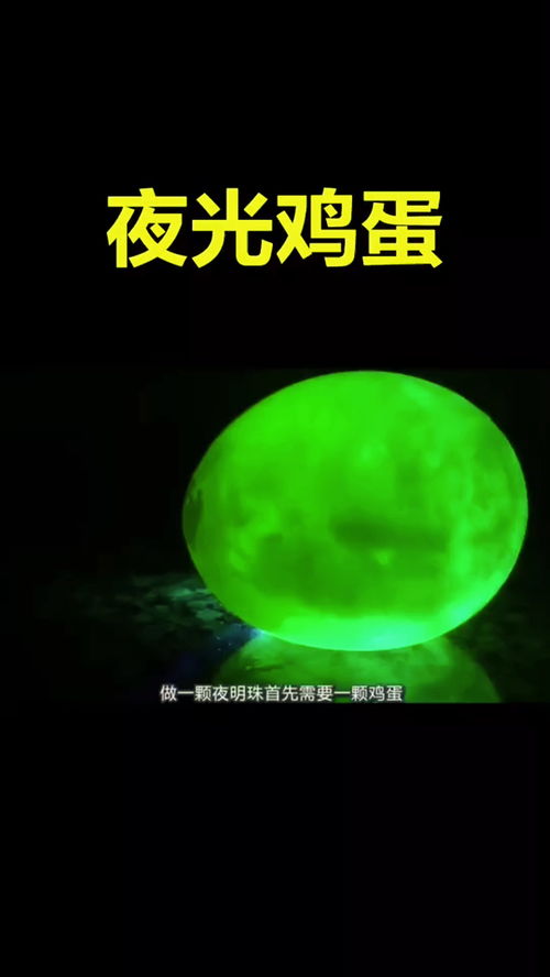 生肖中哪个动物既发光又发亮？曙光生肖指的是什么？
